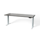 Atlas Custom Standing Computer Desk 67" - 72"