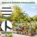 Mini Green House Metal Frame with Waterproof Bottom Mat and Wind Ropes by DirectDeals
