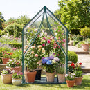 Mini Green House Metal Frame with Waterproof Bottom Mat and Wind Ropes by LJGDeals