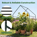 Mini Green House Metal Frame with Waterproof Bottom Mat and Wind Ropes by LJGDeals