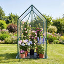 Mini Greenhouse with Metal Frame and Waterproof Cover by LJGDeals