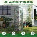 Mini Greenhouse Portable Plant Grow House with 5 Tier Shelves by LJGDeals