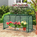 Mini Tunnel Greenhouse with Roll-up Zipper Door by LJGDeals