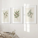 Vintage Neutral Botanical Gallery Wall Print Set by Wall Art Set