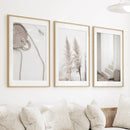 Natural Tones Boho Minimalist Wall Decor. Pampas Grass by Wall Art Set