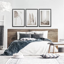 Natural Tones Boho Minimalist Wall Decor. Pampas Grass by Wall Art Set