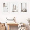 Natural Tones Boho Minimalist Wall Decor. Pampas Grass by Wall Art Set