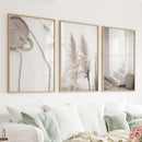 Natural Tones Boho Minimalist Wall Decor. Pampas Grass by Wall Art Set