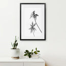 Minimalist Black White Palms Poster. Hawaii Theme by Wall Art Set