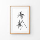 Minimalist Black White Palms Poster. Hawaii Theme by Wall Art Set