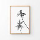 Minimalist Black White Palms Poster. Hawaii Theme by Wall Art Set