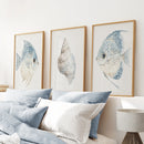 Trendy Nautical Wall Art Set of 3. Seashell and Fishes Posters by Wall Art Set