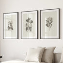 Antique Floral Prints 3 Piece Wall Art Decor by Wall Art Set