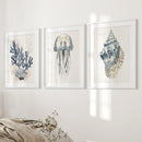 Beach House Wall Art Set. Blue Coral, Jellyfish, Shell by Wall Art Set
