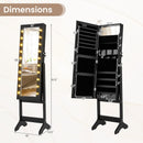 Mirror Jewelry Cabinet with 20 Warm Lights and 4 Tilt Angles-Black