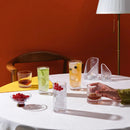 Wayne Set of 4 SOF Whisky Glasses by NUDE USA