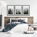 Green Pine Tree Forest. Foggy Nature Wall Art Prints by Wall Art Set