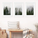 Green Pine Tree Forest. Foggy Nature Wall Art Prints by Wall Art Set