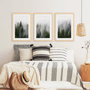 Green Pine Tree Forest. Foggy Nature Wall Art Prints by Wall Art Set