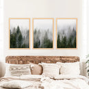Green Pine Tree Forest. Foggy Nature Wall Art Prints by Wall Art Set