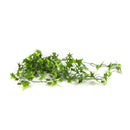 Two Tone Bright Tipped Ivy Artificial Hanging Bush 31in – UV Resistant