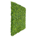 Sample Panel – Mixed Boxwood Green Wall (Small Sample)