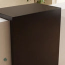 Orlena · Front Reception Desk