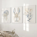 Ocean Animal Prints. Jellyfish, Lobster, Corals Wall Art by Wall Art Set
