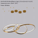 Large Ring Stainless Steel Light Fixture for Living Room, Hall, Staircase, Foyer, Stairwell