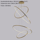 Large Ring Stainless Steel Light Fixture for Living Room, Hall, Staircase, Foyer, Stairwell