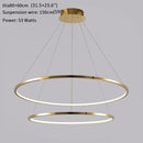 Large Ring Stainless Steel Light Fixture for Living Room, Hall, Staircase, Foyer, Stairwell