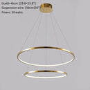 Large Ring Stainless Steel Light Fixture for Living Room, Hall, Staircase, Foyer, Stairwell
