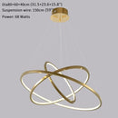 Large Ring Stainless Steel Light Fixture for Living Room, Hall, Staircase, Foyer, Stairwell