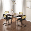 2 Pieces Mid-Century Modern Dining Chair with Cantilever Design-Black by LJGDeals