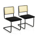 2 Pieces Mid-Century Modern Dining Chair with Cantilever Design-Black by LJGDeals