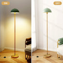Modern Standing Lamp with Adjustable Lamp Head and Foot Switch by LJGDeals