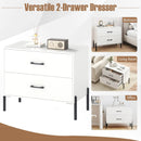 Modern Wooden 2-Drawer Nightstand with Metal Legs and Handles-White by LJGDeals