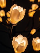 Mokuren Chandelier