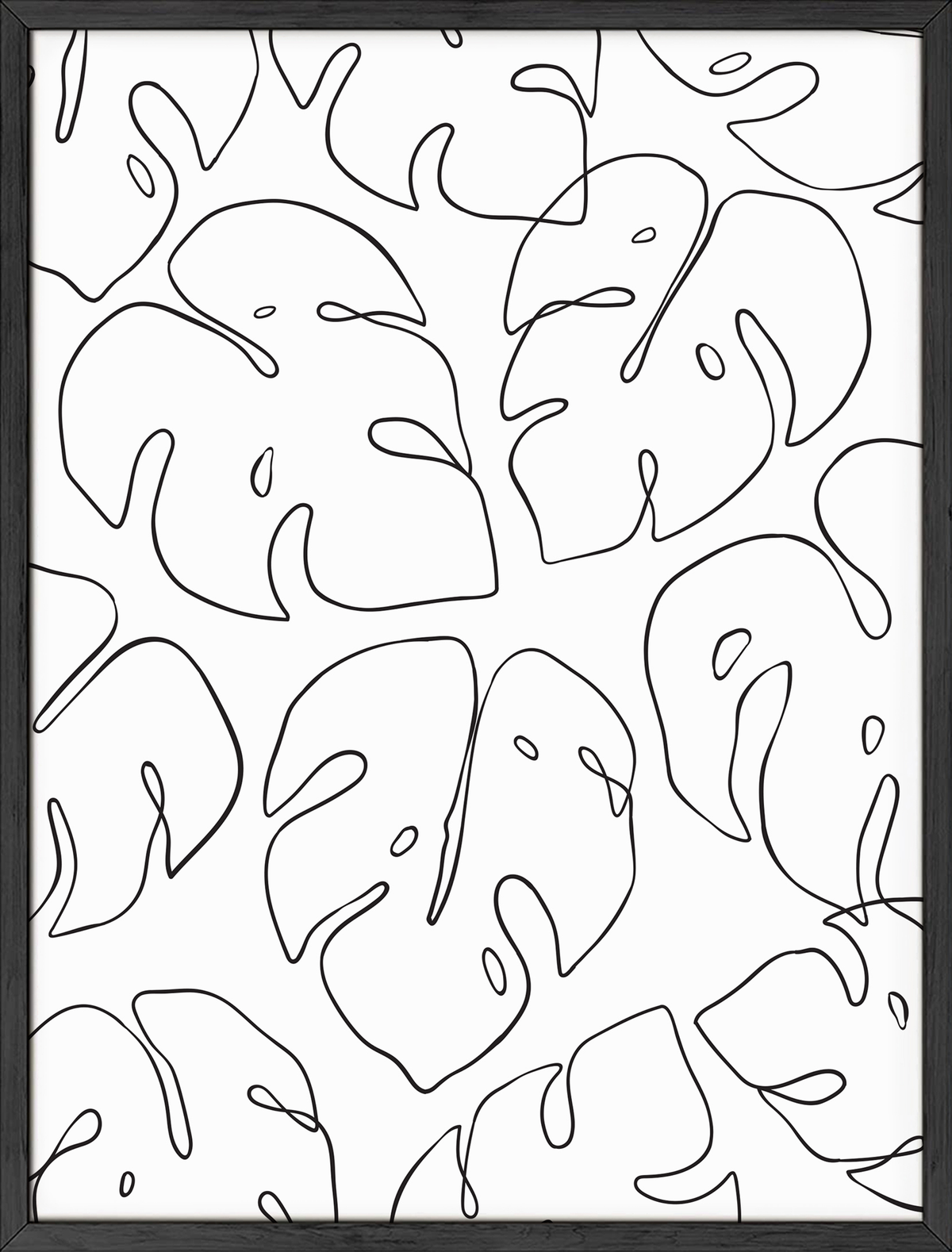 Monstera leaves