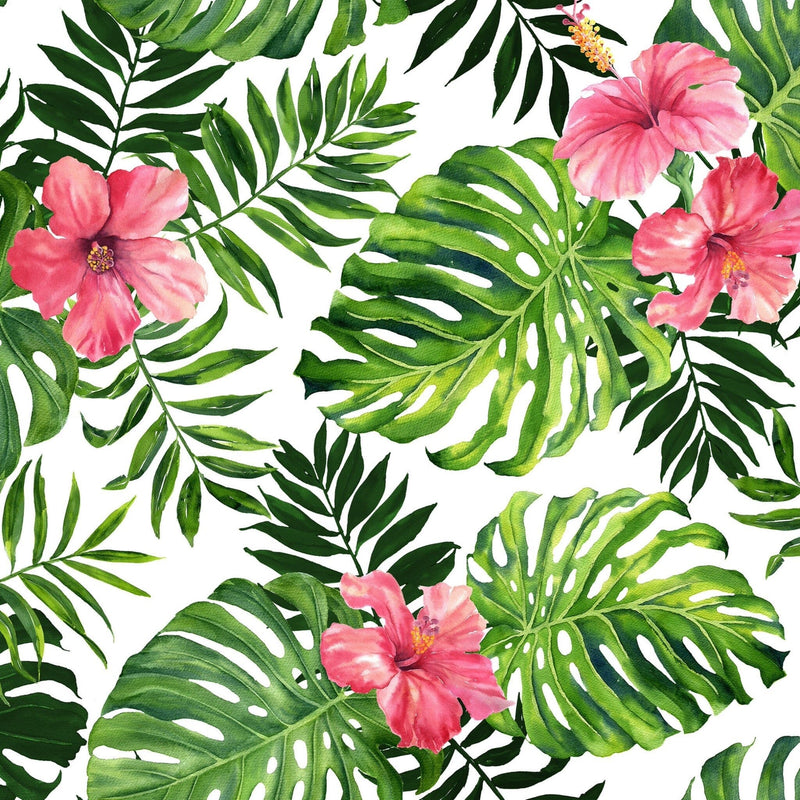 Pink Hibiscus Wallpaper