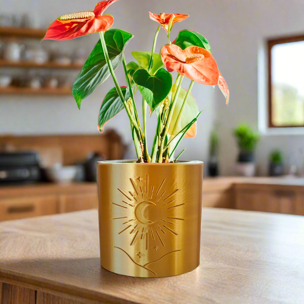Moon Planter, photo 2 of 5