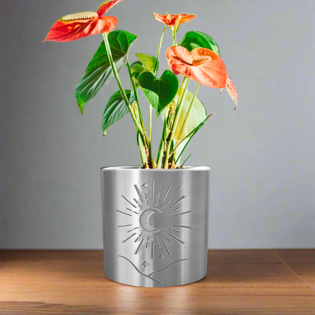 Moon Planter, photo 5 of 5