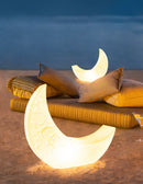 Moonlight Landscape Floor Lamp