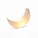 Moonlight Landscape Floor Lamp