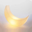 Moonlight Landscape Floor Lamp