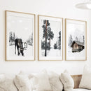 Nordic Winter 3 Piece Photo Set. Pine Forest, Moose, Log Cabin by Wall Art Set