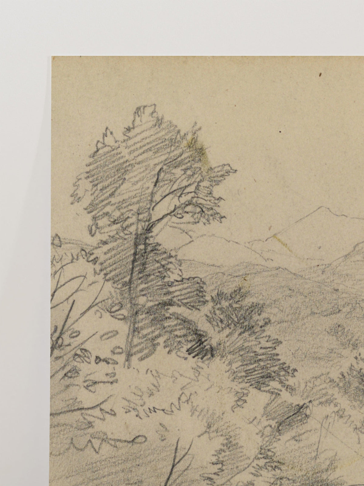 Mountain Sketch, close-up of the surface