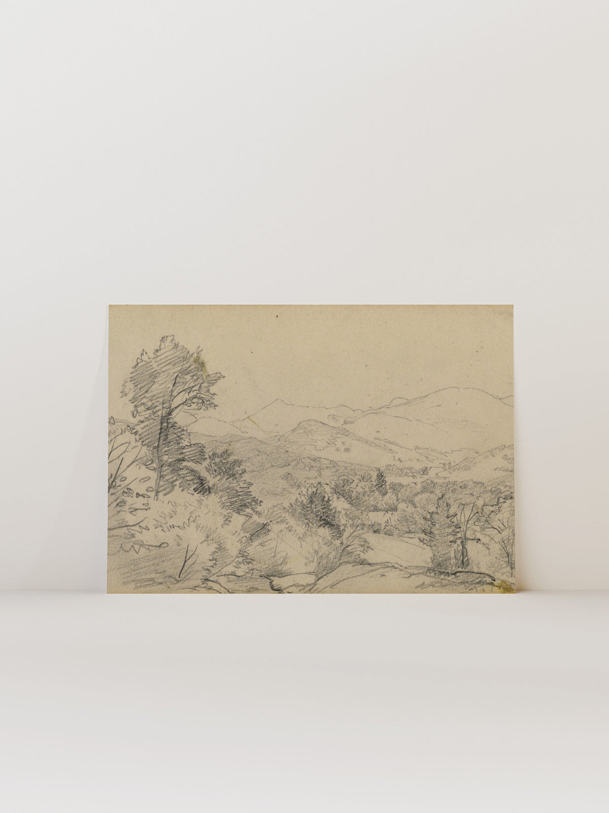 Mountain Sketch, photo 6 of 7