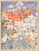Multicolored Flowers