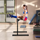 Multifunctional Dip Stand with Foam Handles for Home Gym by LJGDeals